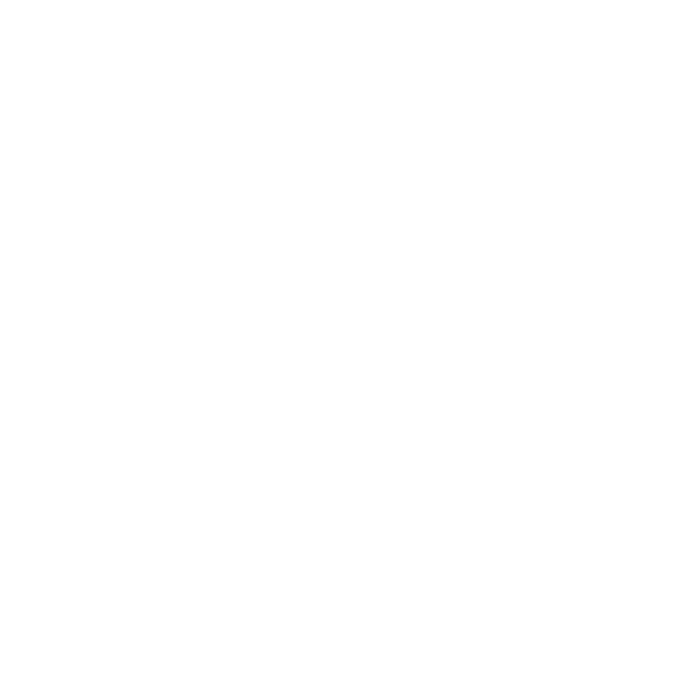 Zweites Icon des Menüpunktes 'Über IRIS®'